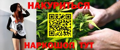 прущие грибы Усть-Джегута