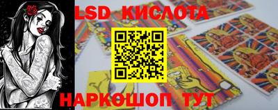 прущие грибы Усть-Джегута